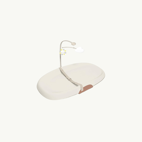 Skip Hop Changing Pad